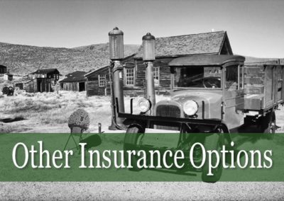 Other Insurance Options